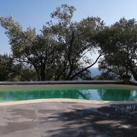 Zeytinevi * Patara